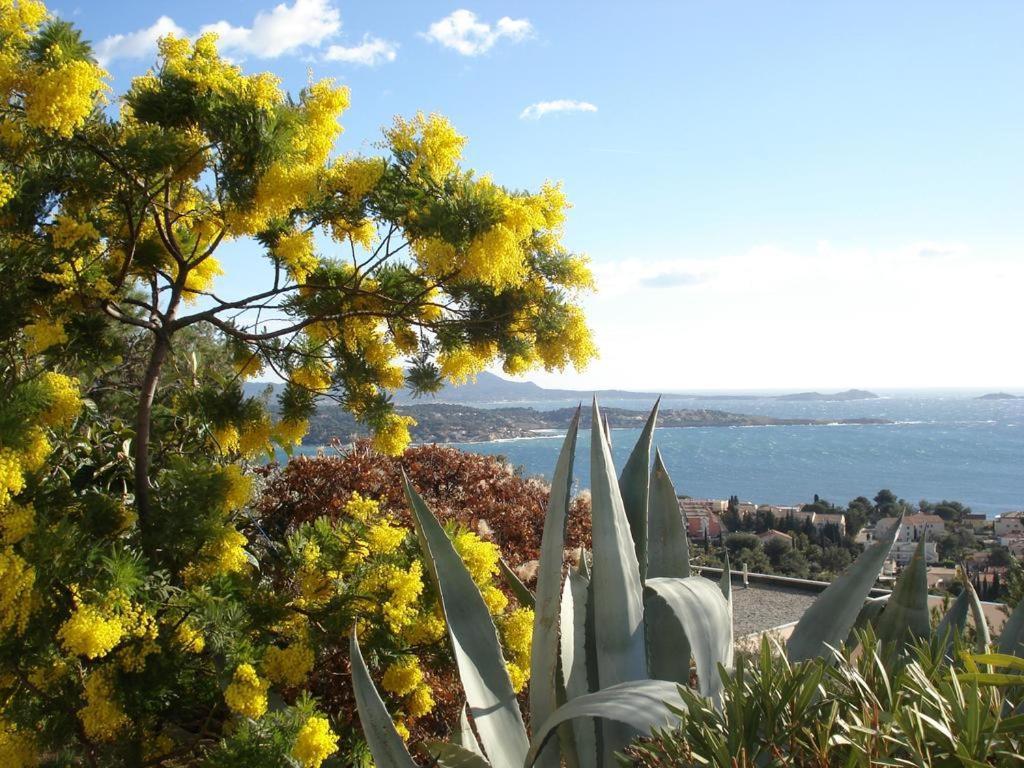 T2 Bandol Ideal Vacances 2 Etoiles Eksteriør billede