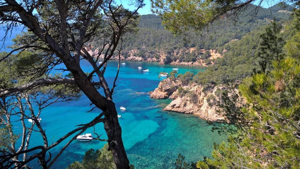 T2 Bandol Ideal Vacances 2 Etoiles Eksteriør billede